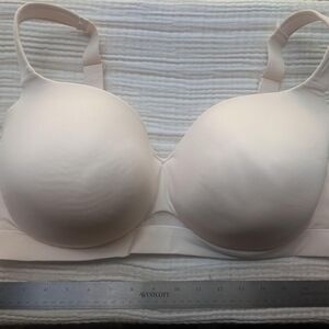 Lane-bryant Women's Cream and Tan Bra
